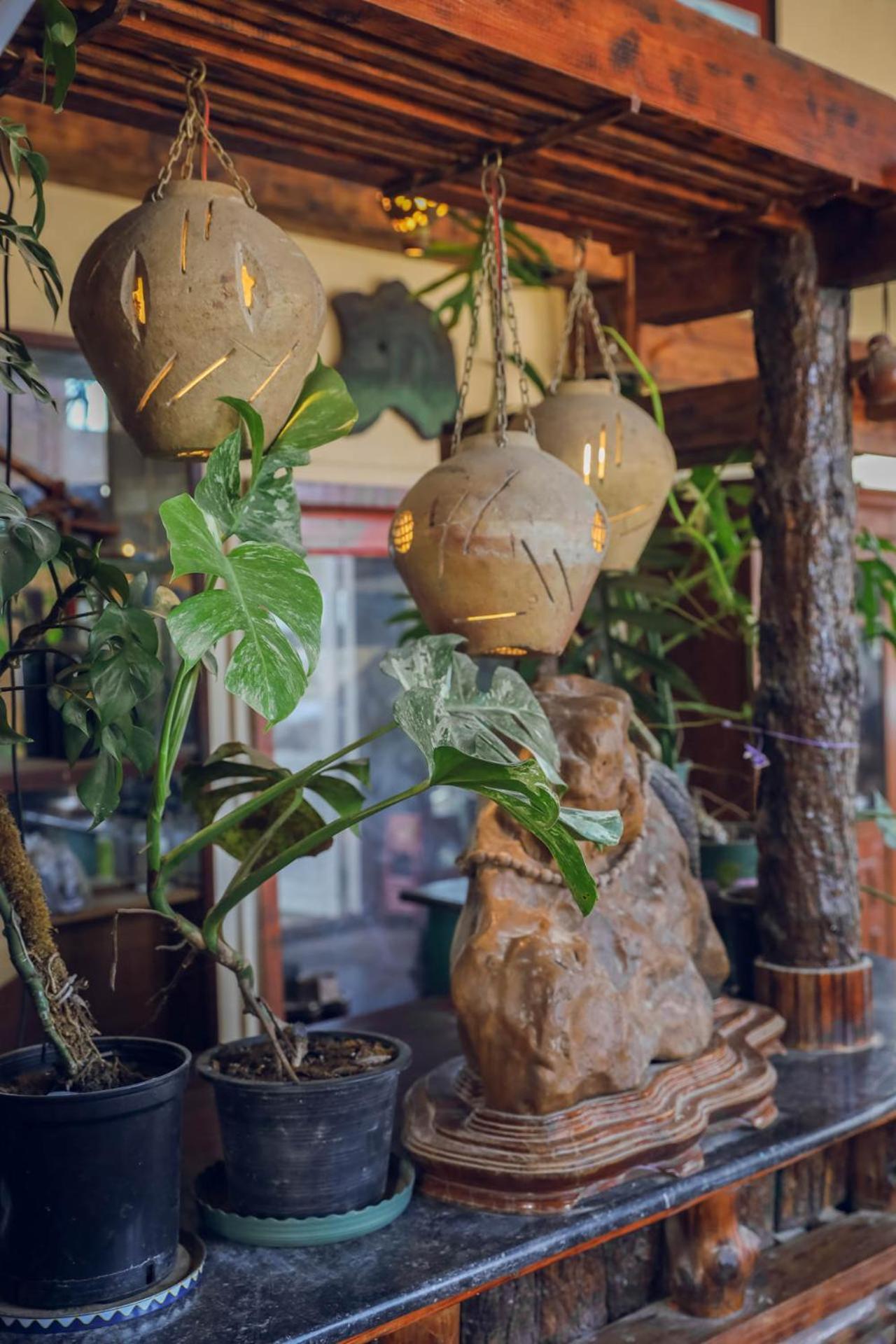 Ziczac Homestay דה לאט מראה חיצוני תמונה