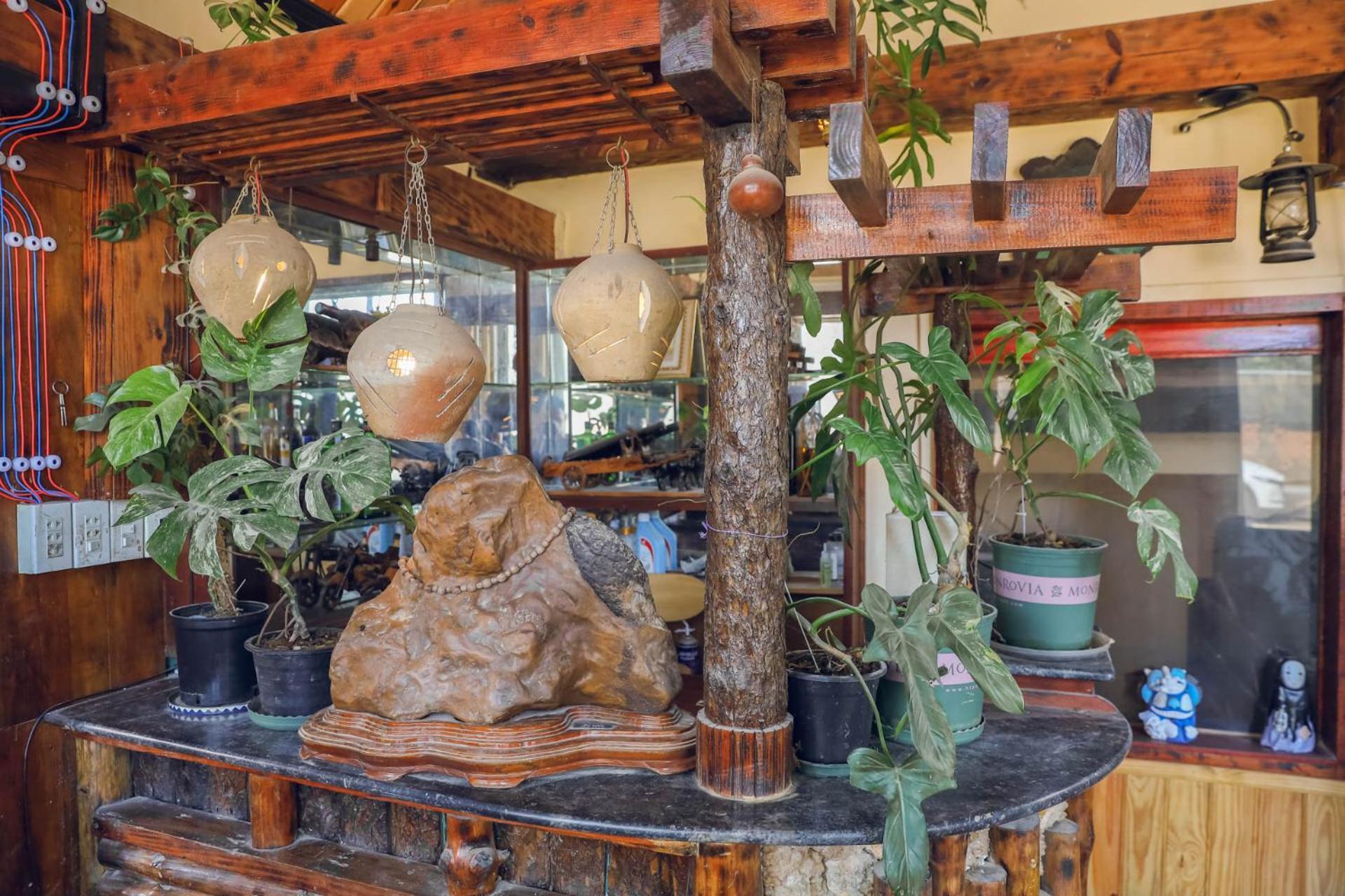 Ziczac Homestay דה לאט מראה חיצוני תמונה